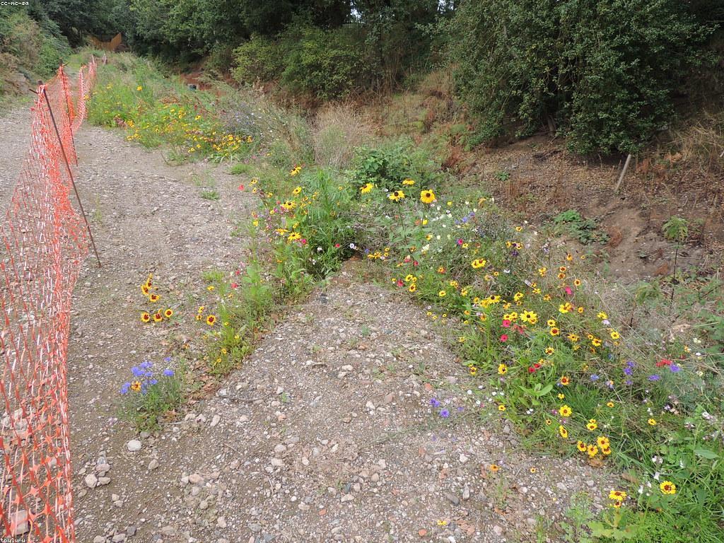 យុទ្ធសាស្ត្រដើម្បីឈ្នះនៅក្នុងអាជីវកម្ម